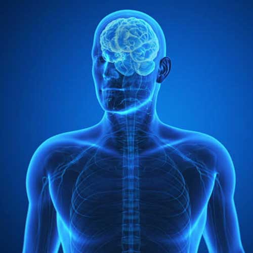 medical animation services dream engine animation studio mumbai Dream Engine Animation Studio, Mumbai