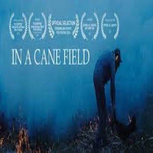 Top 10 International Short Films In A Cane Field