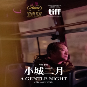 Top 10 International Short Films A Gentle Night