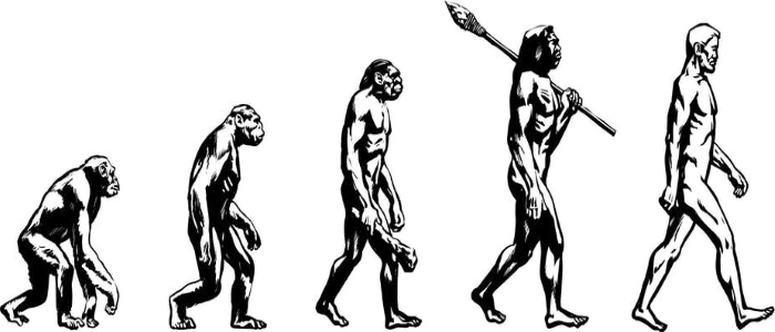 Darwins-theory-of-evolution-diagram 