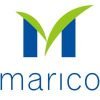 Marico Logo made by Dream Engine Animation Studio